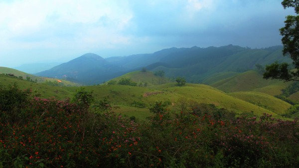 Kerala ( Alleppey & Vagamon )