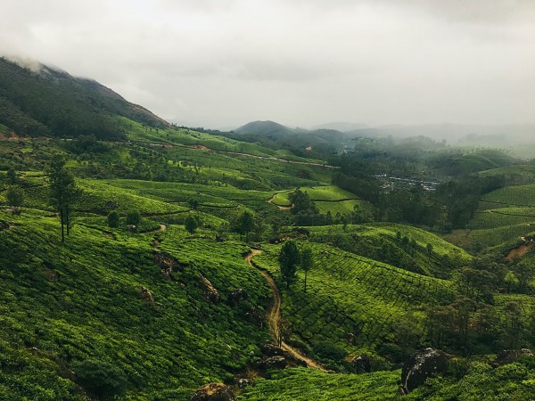 Bangalore - Mysore - Ooty (  With Coonoor )