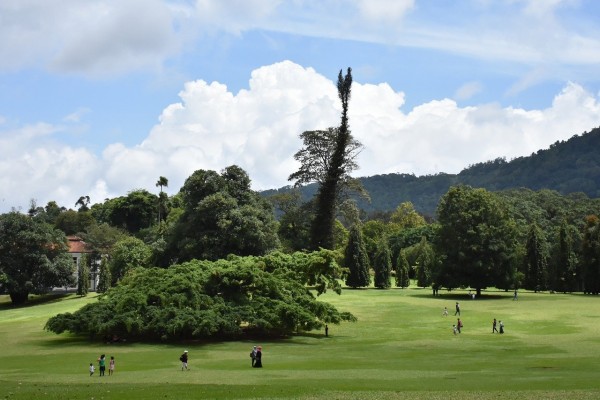 Colombo - Kandy - Nuwara Eliya - Bentota