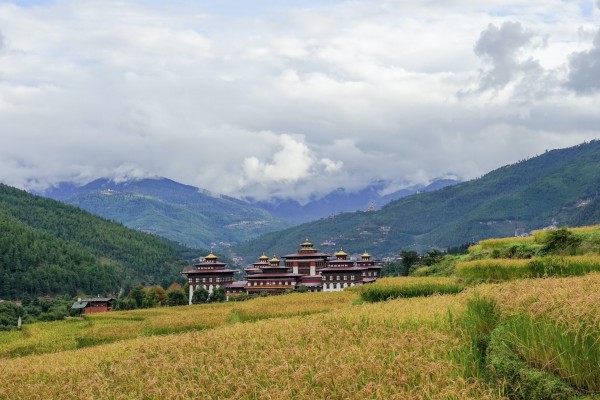 Thimpu & Paro