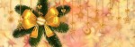 Best Christmas and New Year Vacations in India